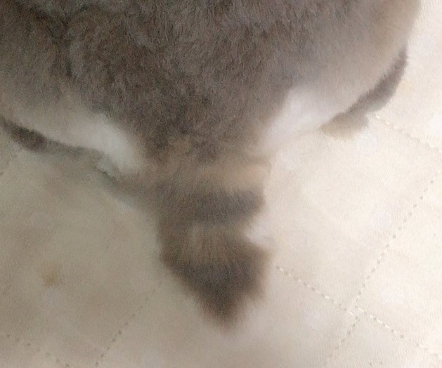足